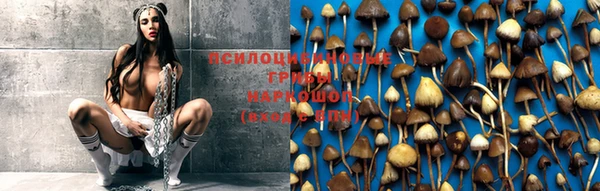 кокс Белоозёрский