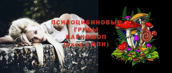кокаин Белокуриха