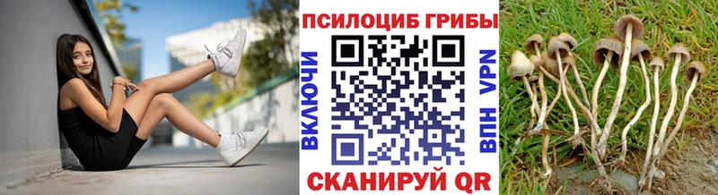 даркнет состав  kraken зеркало  Кубинка  купить  сайты  Галлюциногенные грибы мухоморы 